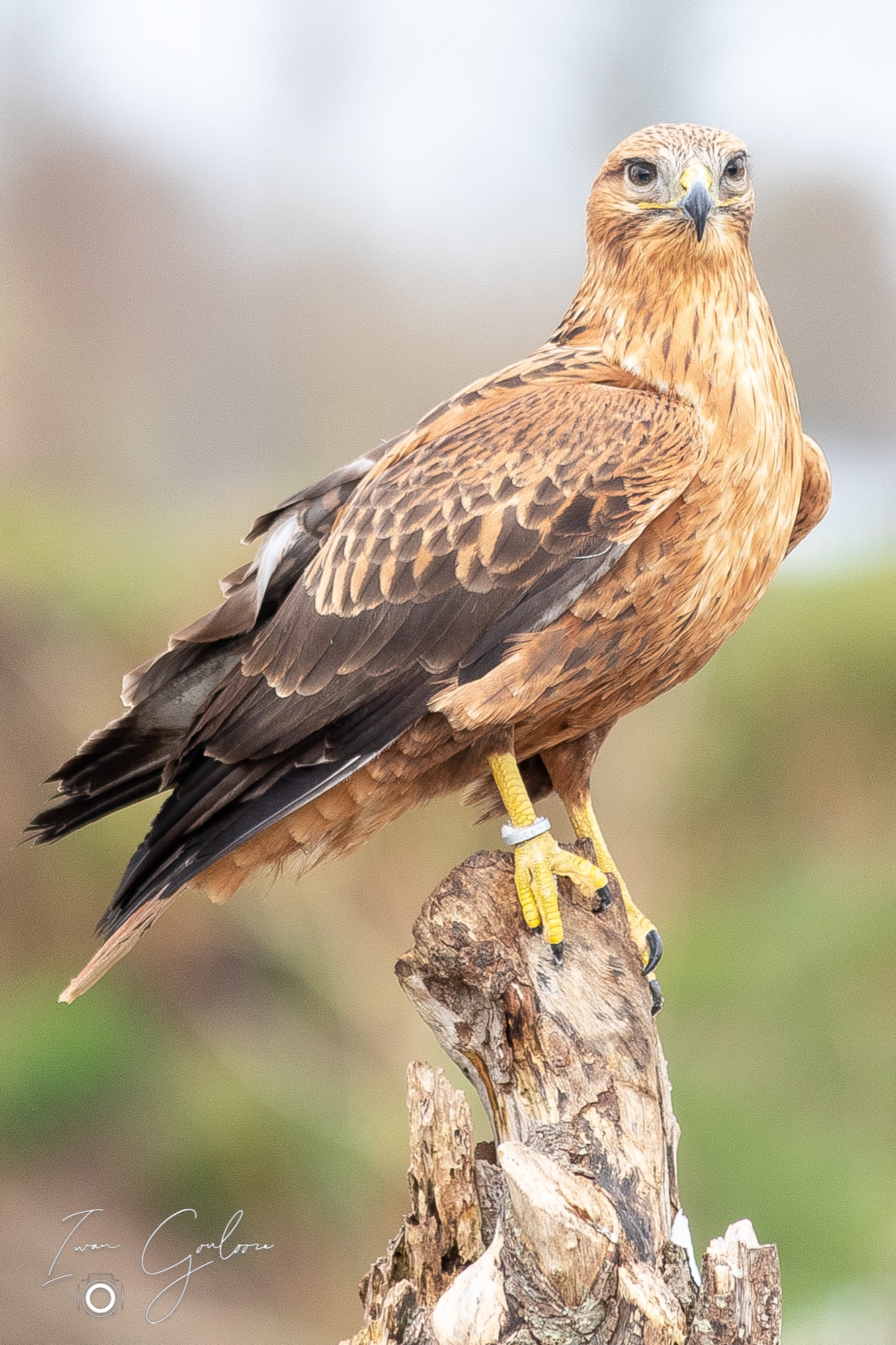 01 april 2022 115757 1DX47205